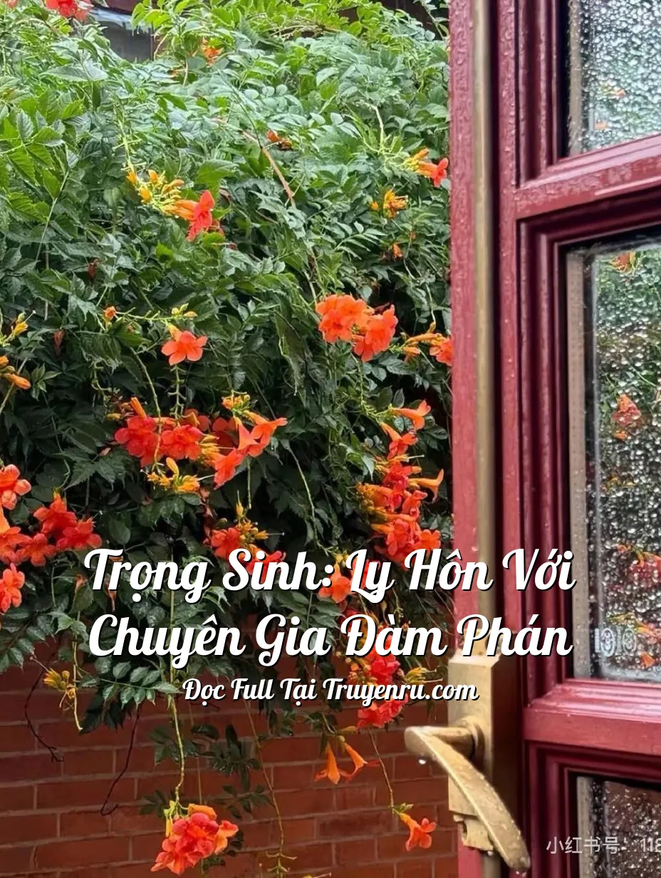 Trọng Sinh: Ly Hôn Với Chuyên Gia Đàm Phán